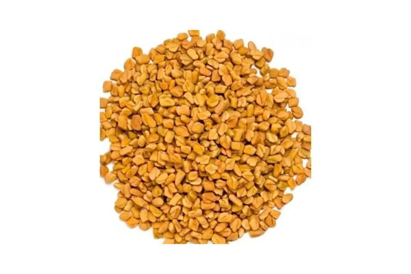 fenugreek