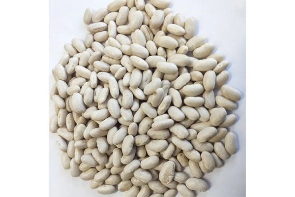 white beans